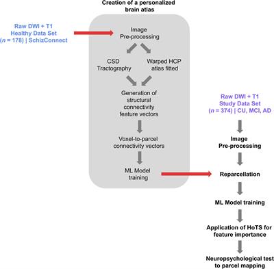 Machine Learning Decomposition of the Anatomy of Neuropsychological Deficit in Alzheimer’s Disease and Mild Cognitive Impairment